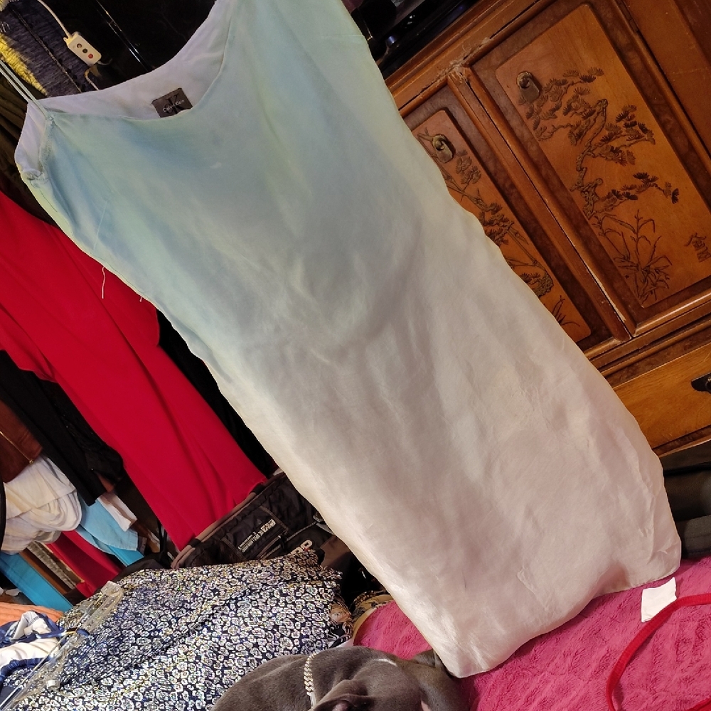 Calvin Klein Light Green and Cream Dress